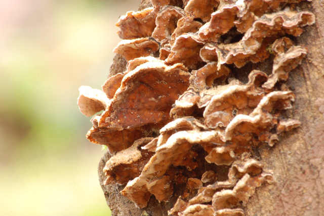 Criticatemi pure senza piet�!